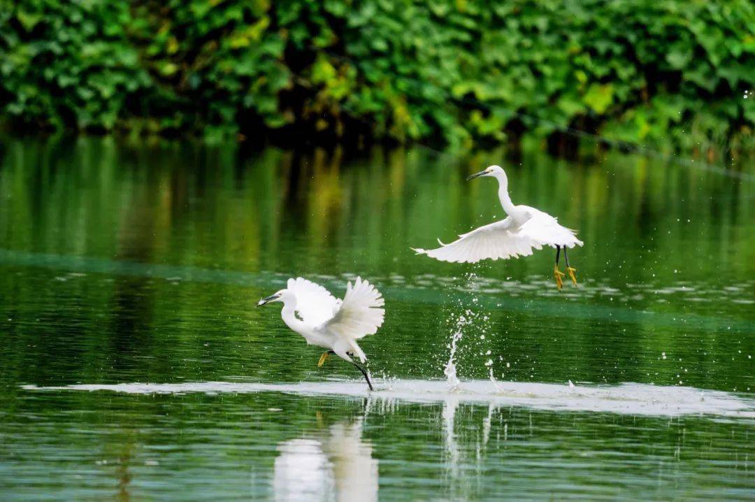 亚洲精品自在在线观看:临沧高速公路最新动态,亚洲精品自在在线观看,临沧高速公路最新动态 亚洲精品自在在线观看:临沧高速公路最新动态,亚洲精品自在在线观看,临沧高速公路最新动态