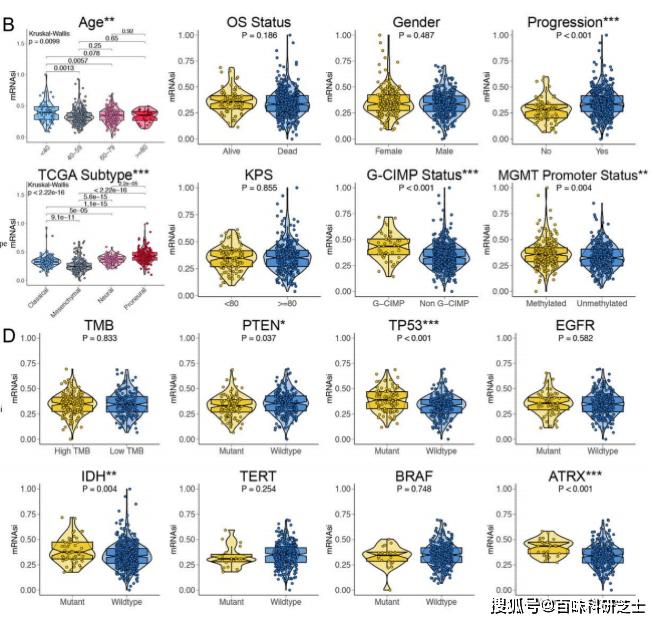88国产精品视频一区二区三区:生或死最新,探索88国产精品视频的魅力，一区、二区、三区的生与死最新篇章