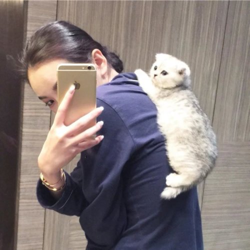 欧美人与动牲交a欧美精品z:吴世勋最新ins,欧美人与动物交流的新探索，吴世勋的最新ins揭示欧美精品的独特魅力