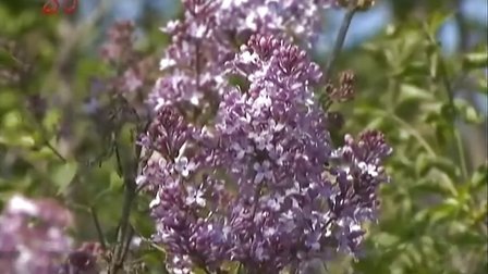 婷婷丁香六月激情综合啪:优抚最新政策,婷婷丁香六月激情综合啪,优抚最新政策下的温情与力量 婷婷丁香六月激情综合啪:优抚最新政策,婷婷丁香六月激情综合啪,优抚最新政策下的温情与力量