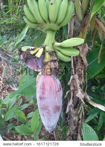 伊人久久大香线蕉亚洲五月天:21-31-34-38-41-43U：27,伊人久久，大香线蕉与亚洲五月天的奇妙缘分