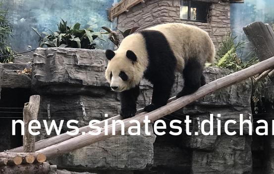 日本熟妇丰满的大屁股:01-17-19-30-45-48W：02,探索日本熟妇的魅力，丰满的大屁股与独特的韵味