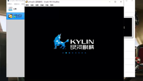 久久久久国产一级毛片精品版:03-14-25-33-43-47K：07,久久久久国产一级毛片精品版，探索与赏析