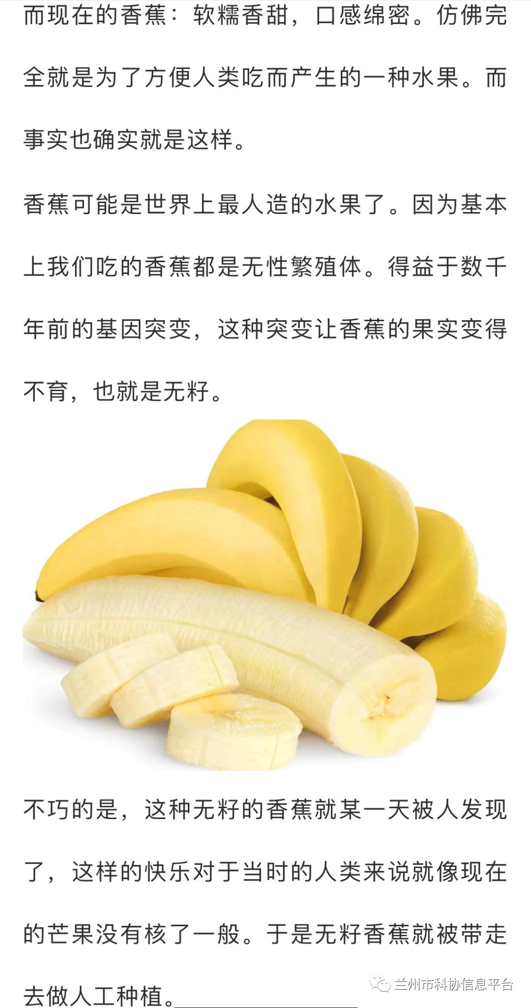 色8久久人人97超碰香蕉987:02-06-23-32-36-37D：20,探索数字世界的奥秘，色8久久与超碰香蕉的交织