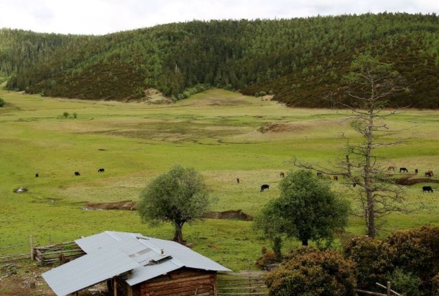 久久综合色天天久久综合图片:01-24-32-38-42-46Z:29,久久综合色天天久久综合图片,探索多彩世界的魅力 久久综合色天天久久综合图片:01-24-32-38-42-46Z:29,久久综合色天天久久综合图片,探索多彩世界的魅力