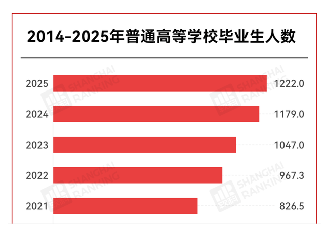 国产精品久久久久久久久齐齐:08-29-36-41-46-49U：49,国产精品的崛起，深度探索与未来展望