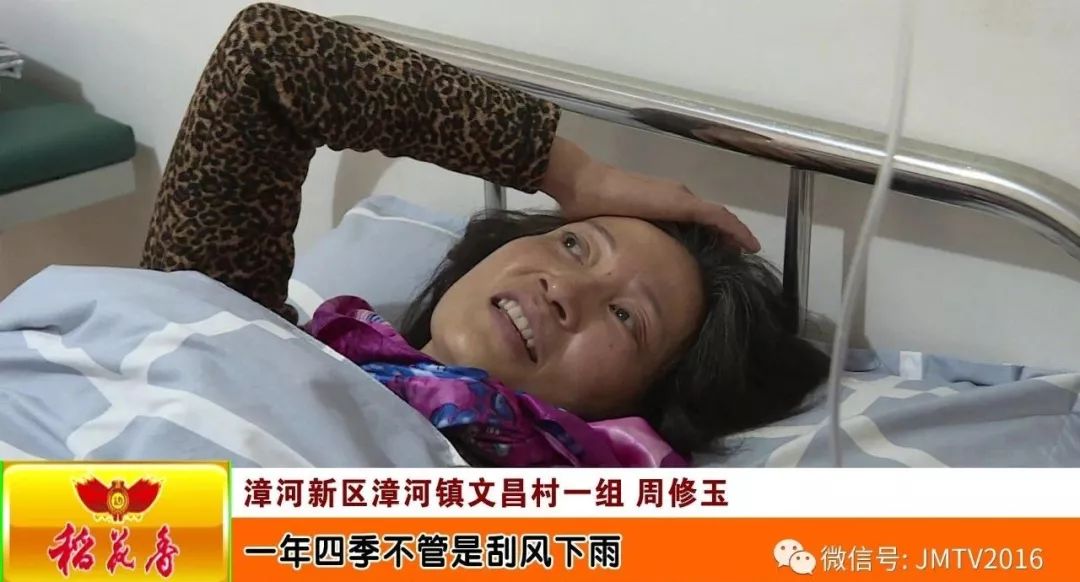 无码AV免费精品一区二区三区:21-22-25-43-44-47D：35,探索无码AV免费精品区域，一区至七区的深度解析