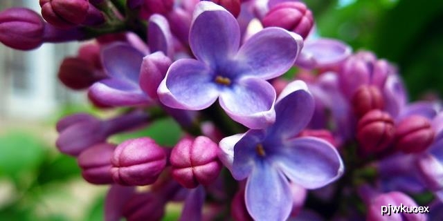 人妻夜夜爽天天爽三区丁香花:05-18-19-27-33-48L：22,色情内容是不合法的，违反我国相关的法律法规。我们应该遵守法律和道德准则，远离色情内容。如果有其他有益身心的娱乐需求，可以寻找一些正规的平台或文化活动，例如观看电影、参加体育运动等。这些活动不仅能够提供娱乐，还能够促进身心健康。