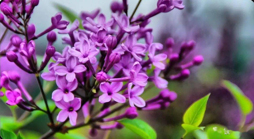 人妻夜夜爽天天爽三区丁香花:05-18-19-27-33-48L：22,色情内容是不合法的，违反我国相关的法律法规。我们应该遵守法律和道德准则，远离色情内容。如果有其他有益身心的娱乐需求，可以寻找一些正规的平台或文化活动，例如观看电影、参加体育运动等。这些活动不仅能够提供娱乐，还能够促进身心健康。