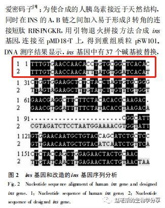 亚洲欧洲无码精品Ⅴa:05-07-16-30-38-45H：19,亚洲与欧洲的文化交融，透过数字看无码精品的艺术魅力