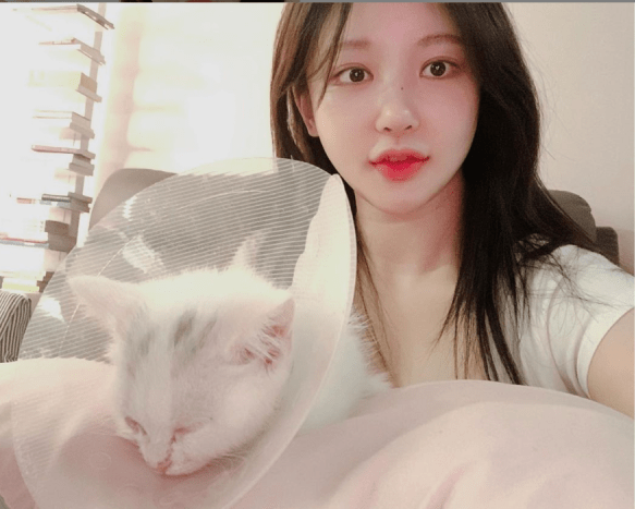 久久精品国产网红主播:14-17-20-27-45-46F：13,久久精品国产网红主播的魅力世界，探索数字背后的故事