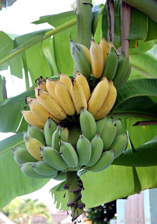 伊人久久大香线蕉无码:15-18-22-32-36-44T：13,伊人久久大香线蕉的艺术魅力与审美价值，探索一种超越尺度的美学