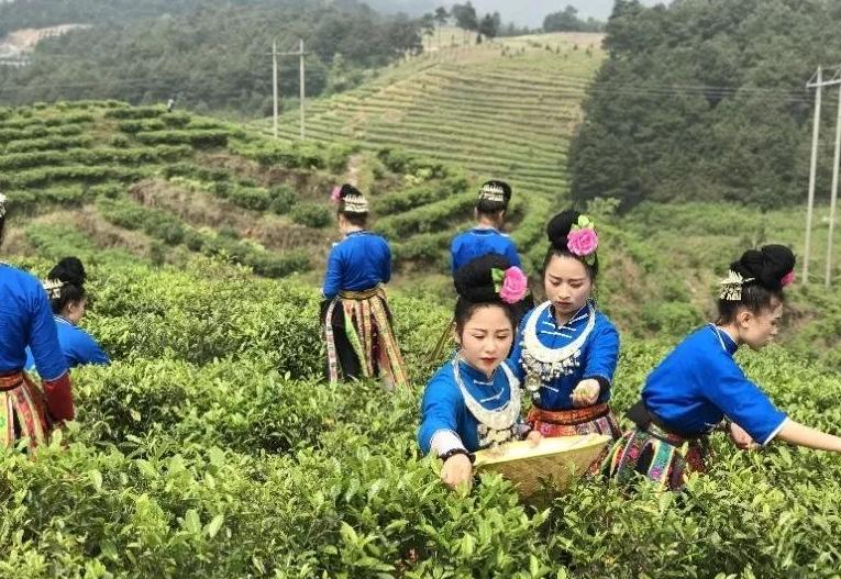 久久精品一品道久久精品:07-18-19-26-33-45X：29,久久精品一品道久久精品，探寻极致品质之旅