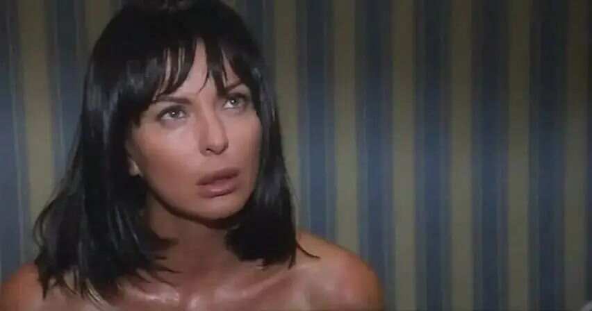 欧美激情一区二区久久久:02-04-07-20-44-47S：02,欧美激情一区二区深度探索，历史、文化与独特魅力的长久延续（02-04-07-20-44-47S）