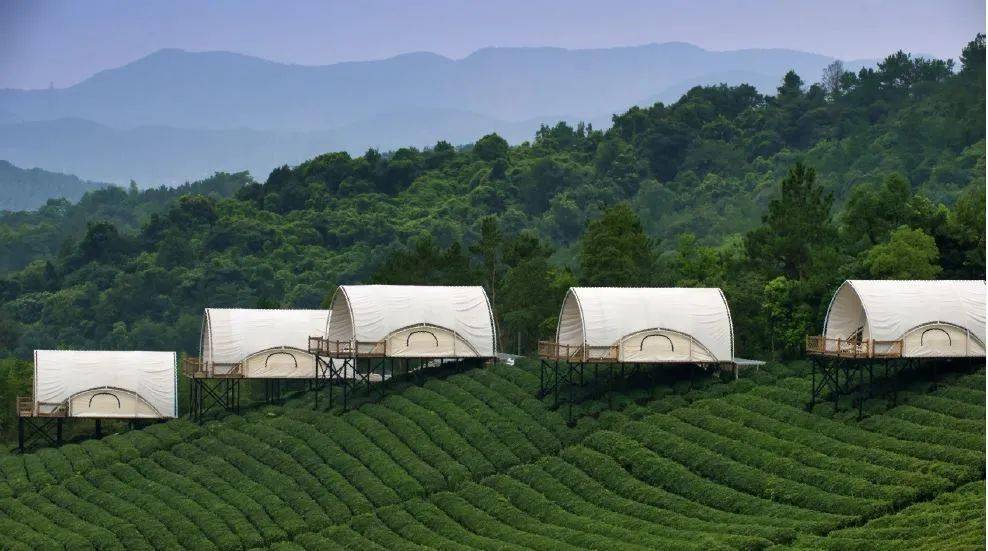 亚洲国产AV玩弄放荡人妇系列:02-07-26-29-40-45Y：24,亚洲国产AV，探索玩弄放荡人妇系列的不同篇章（2023年深度解析）