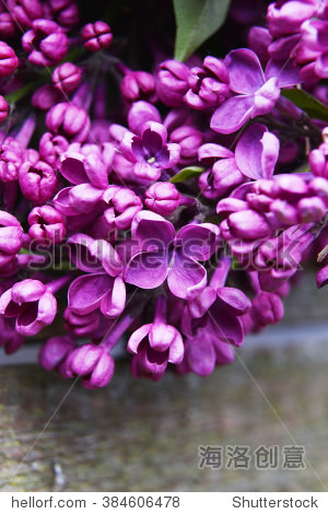 色婷婷婷亚洲综合丁香五月:03-23-29-30-37-46F：39,亚洲综合之美，色婷婷的独特魅力与五月丁香的花开盛宴