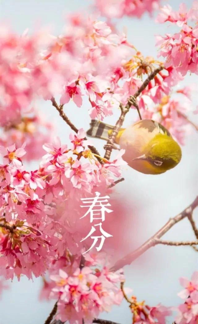 夜夜欢天天干:05-15-16-20-26-45P：26,夜夜欢歌，时时奋斗，一场时间的狂欢与生活的节奏