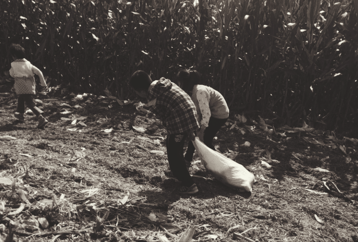 国产乱子轮XXX农村:10-15-19-25-36-49Z：07,国产乱子轮XXX农村，数字背后的故事与探索