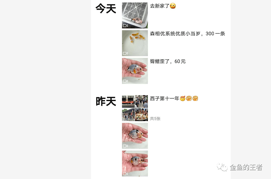 99日本精品永久免费久久:09-12-14-33-38-42Y：36,探索日本精品文化，永久免费的魅力与深度