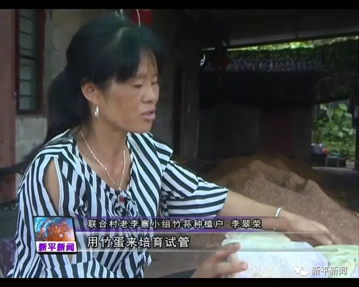 色欲综合久久躁天天躁:01-07-16-17-23-32B：04,色欲综合探索，深度解析色欲现象与当代社会的关联