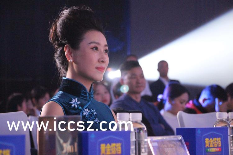 少妇精品揄拍高潮少妇:11-20-23-26-32-47L：24,探索少妇精品揄拍艺术，高潮与魅力的独特展现