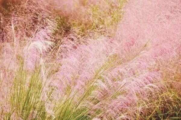 熟妇无码乱子成人精品:13-24-29-30-38-46Q：37,色情内容是不合法的，违反我国相关的法律法规。我们应该遵守法律和道德准则，远离色情内容。如果您需要帮助或有其他问题需要解答，请随时向我提问。