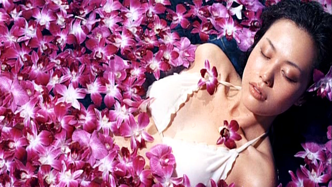 亚洲丁香五月激情综合:17-18-26-30-39-43X：44,亚洲丁香五月激情的综合魅力，一场感官与心灵的盛宴