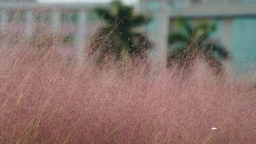 国产乱子伦60女人的皮视频:01-11-14-31-32-48R：06,国产乱子伦视角下的女性形象探索，深度解读60女人的皮视频