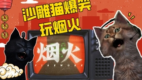 国产精品碰碰现在自在拍:08-11-24-30-35-41T：46,国产精品碰碰，探索现代自在拍摄的艺术