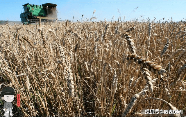久青草影院在线观看国产:10-21-28-36-40-46W：15,久青草影院在线观看国产影片的魅力时光
