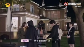 国内揄拍高清国内精品对白:14-23-27-34-35-41E：49,关于国内揄拍高清国内精品的对话与探索，深入解析与赏析（14-23-27-34-35-41E，49）