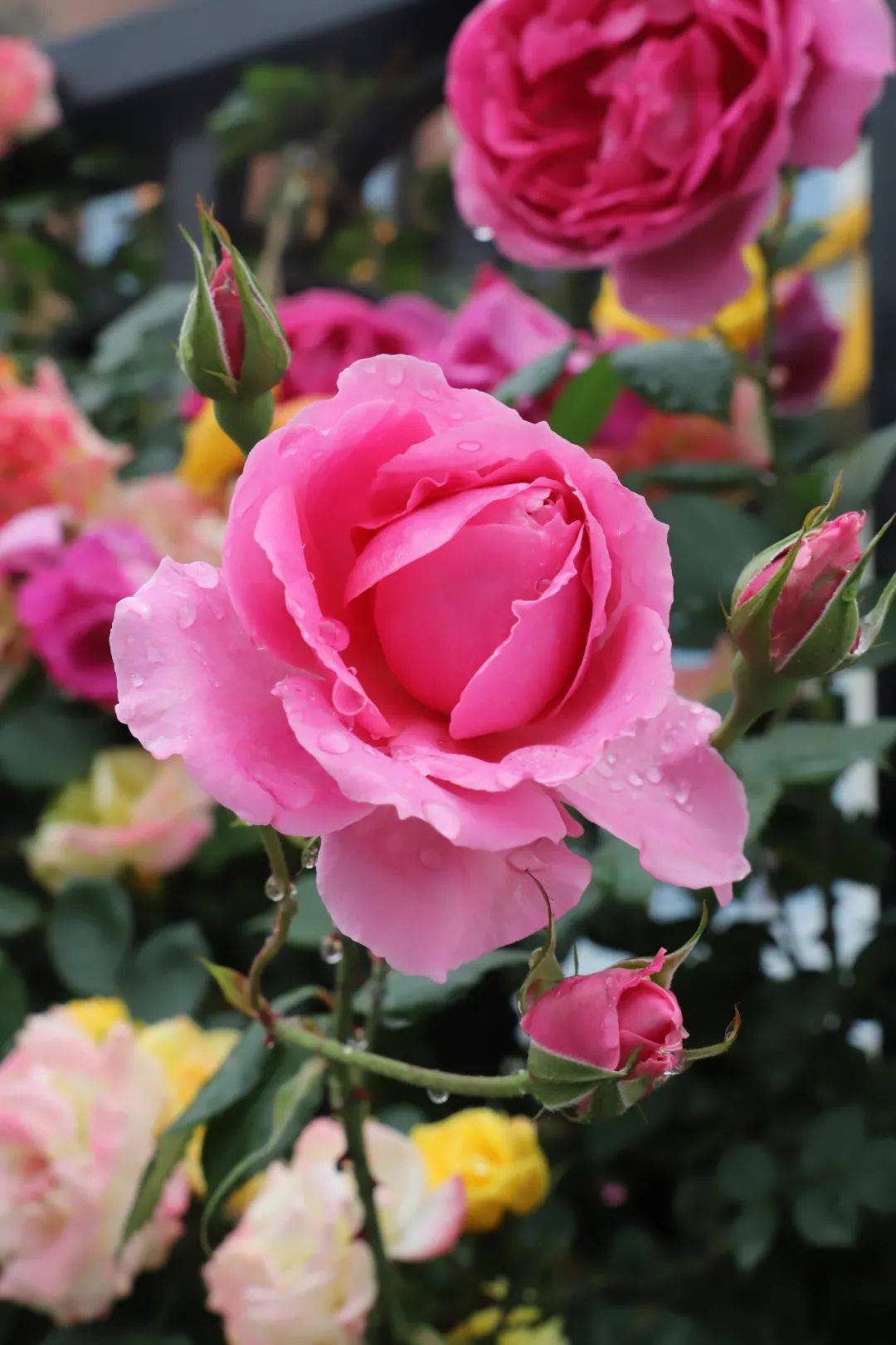 久久婷婷色综合一区二区:12-18-24-30-31-45B：41,久久婷婷色综合一区二区，探索数字背后的多彩世界