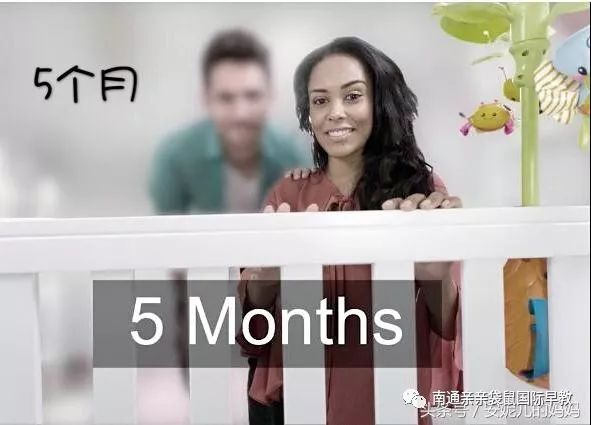 大香伊人蕉在线观:01-24-32-38-42-46Z：29,大香伊人蕉在线观，探索美丽与文化的交织