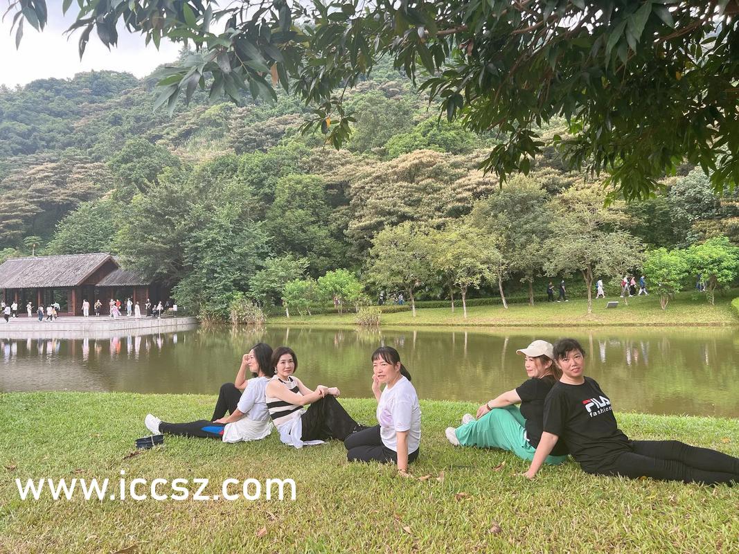 一道本在线伊人蕉:06-11-32-37-42-43X：24,一道本在线伊人蕉，数字背后的故事与情感交织