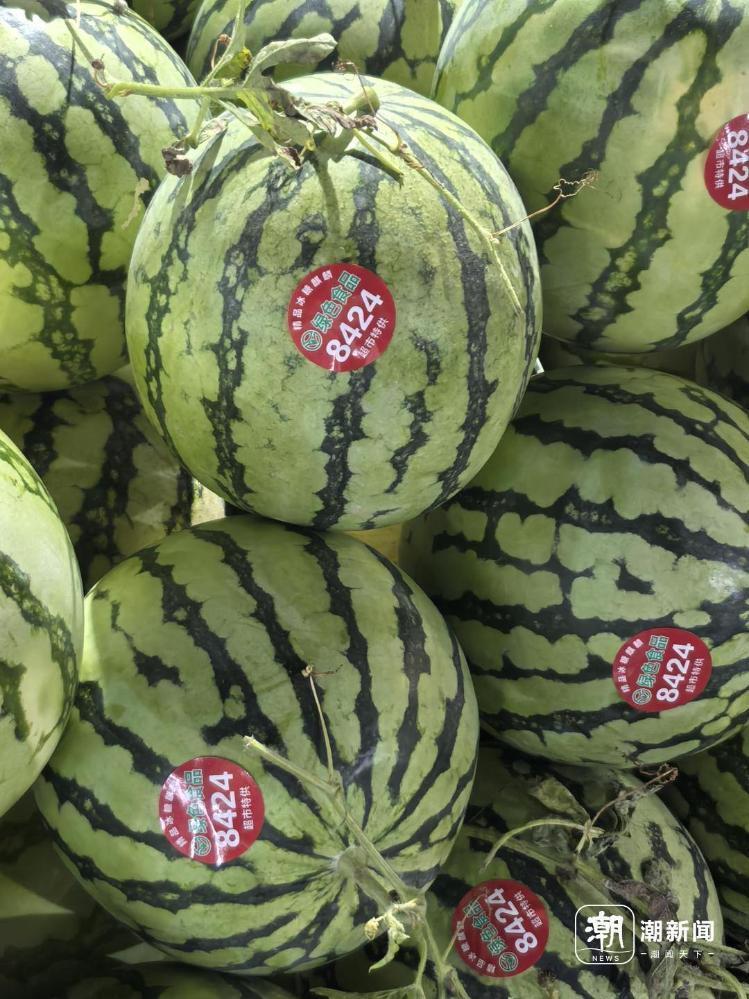 国产99久久亚洲综合精品西瓜TV:10-16-27-32-41-46T：30,国产精品西瓜TV，探索亚洲文化魅力的深度之旅（10-16-27-32-41-46T，30）