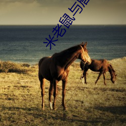 ASS年轻少妇BBWPIC精品:10-26-29-36-42-47M:11,探索ASS年轻少妇BBWPIC精品,一场视觉与想象的盛宴 ASS年轻少妇BBWPIC精品:10-26-29-36-42-47M:11,探索ASS年轻少妇BBWPIC精品,一场视觉与想象的盛宴