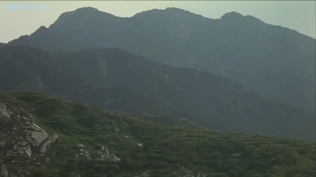 成在人线AV无码免费看网站直播:05-07-16-30-38-45H：19,探索成人直播世界，在线直播平台的兴起与影响