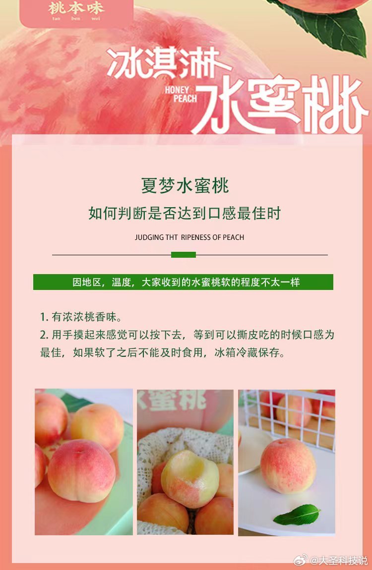 国产精品爽爽久久久久久蜜桃网站:19-30-31-32-34-44W：41,国产精品文化探索与深度体验，蜜桃网站的价值与影响