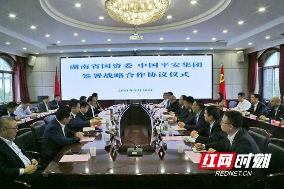 无码人妻AⅤ一区二区三区夏目:05-09-21-29-34-36K：38,探索无码人妻AⅤ的不同区域，一区、二区、三区的深度解析与夏目特色