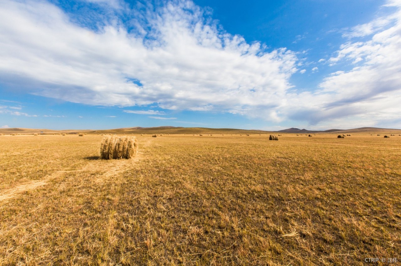 国产成人亚洲精品无码青青草原:02-22-33-36-40-49M：10,青青草原上的国产成人亚洲精品探索之旅