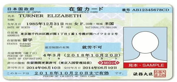 日本一卡二卡四卡无卡高清免费:09-15-27-44-47-48L：29,探索日本数字娱乐世界，一卡二卡四卡无卡高清免费的新视界