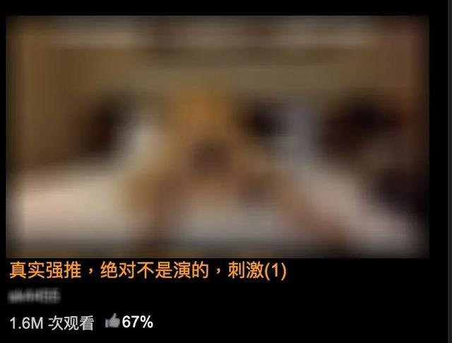 国产高清成人免费视频在线观看:05-18-33-38-46-49D:06,探索国产高清成人娱乐视频的世界,在线观看指南及体验分享 国产高清成人免费视频在线观看:05-18-33-38-46-49D:06,探索国产高清成人娱乐视频的世界,在线观看指南及体验分享