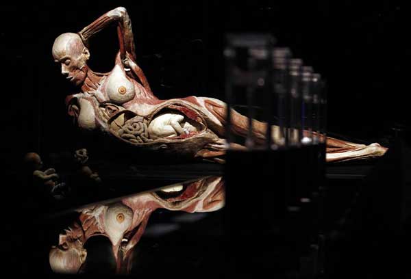 西西人体444www高清大但:09-18-25-27-38-48J：41,探索西西人体世界的神秘与美学——高清大图深度解析