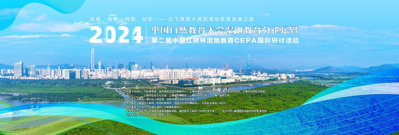 国产精品三级AV三级AV三级:02-08-31-36-40-47A：17,国产精品的魅力，探索三级AV的多样性与发展