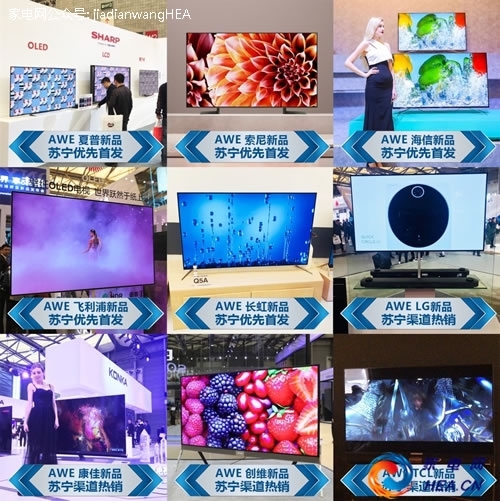 国产精品白浆在线观看无码专区:01-10-12-15-22-46N：21,国产精品白浆在线观看无码专区，探索优质内容的无限可能