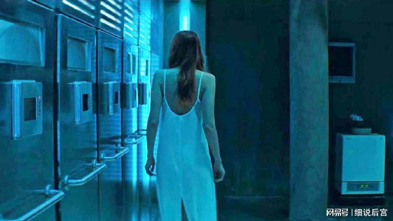 97无码免费人妻超级碰碰碰碰:03-12-18-32-33-46D:15,探索网络世界中的隐秘角落,关于97无码免费人妻超级碰碰碰碰与特定数字序列的思考 97无码免费人妻超级碰碰碰碰:03-12-18-32-33-46D:15,探索网络世界中的隐秘角落,关于97无码免费人妻超级碰碰碰碰与特定数字序列的思考