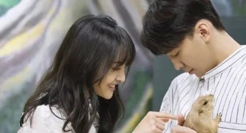 2020日本不卡一区二区视频:02-04-08-18-23-46C：26,探索日本影视文化，从一区到四区视频的魅力