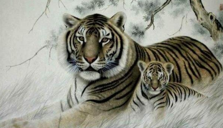 四虎国产精品亚洲一区久久特色:01-36-37-43-44-45J：45,四虎国产精品亚洲一区久久特色，探索与赏析