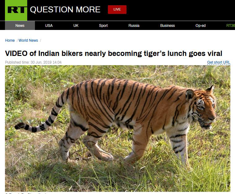 四虎永久在线精品免费视频观看:04-06-11-13-23-26Z：15,四虎永久在线精品免费视频观看，探索优质内容的无限可能