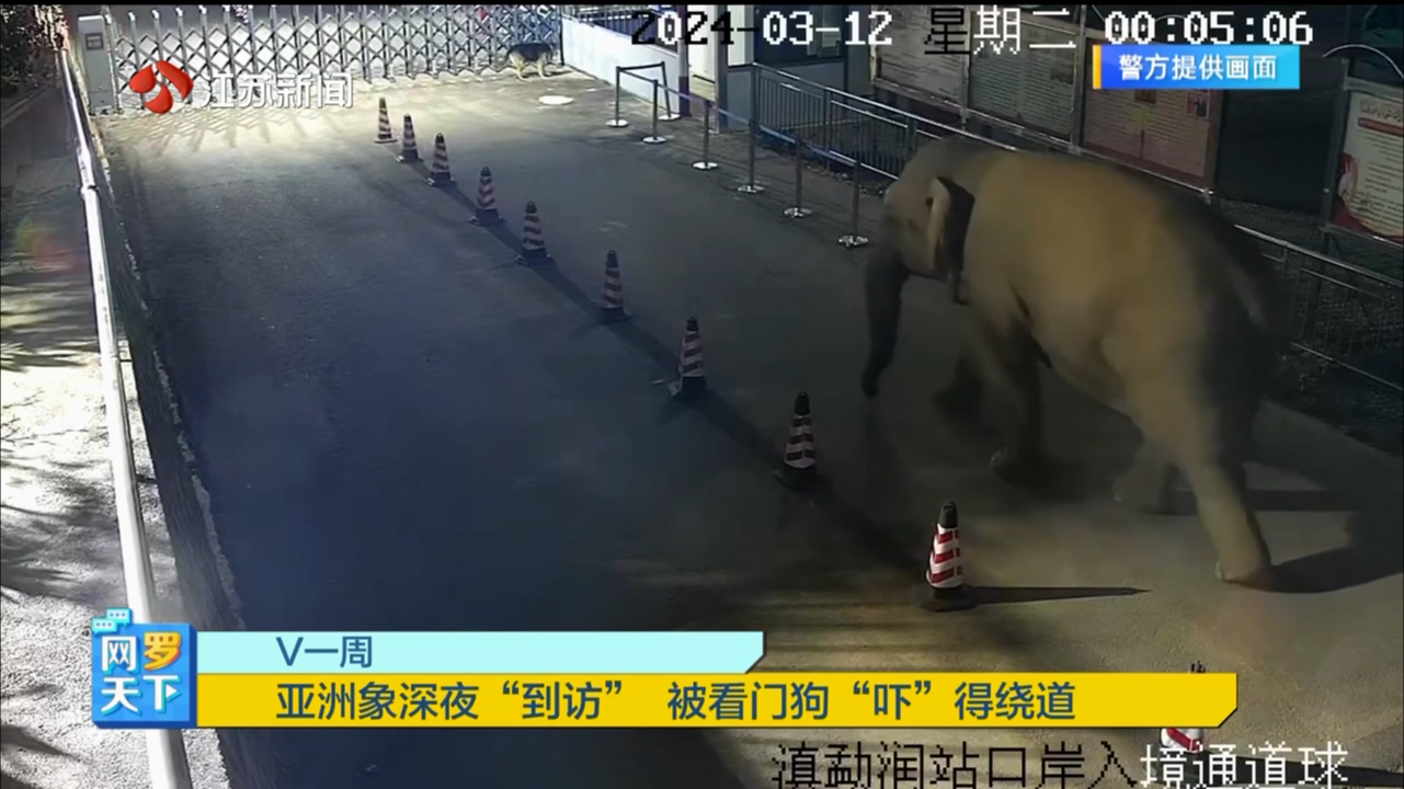 亚洲av成人午夜福利在线观看:01-02-16-29-41-47N：18,亚洲成人午夜福利在线观看，探索成人娱乐的新领域